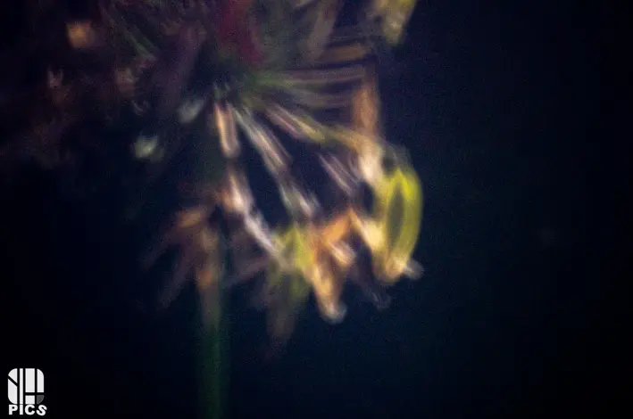 STENOPE - YVAN HANNAY