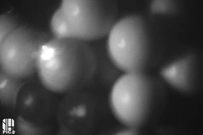 STENOPE - YVAN HANNAY