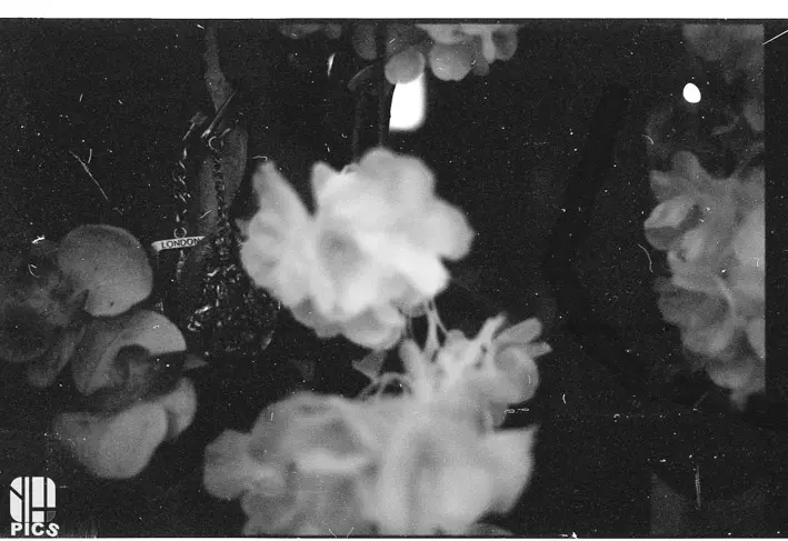 Argentique - Yvan HANNAY