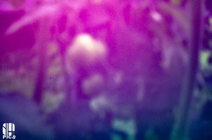 Artistique - photographie - STENOPE - YVAN HANNAY