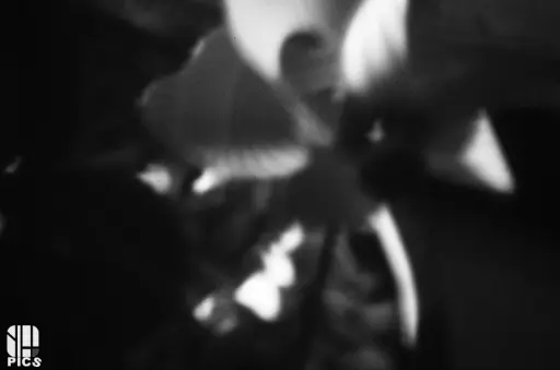 STENOPE - YVAN HANNAY